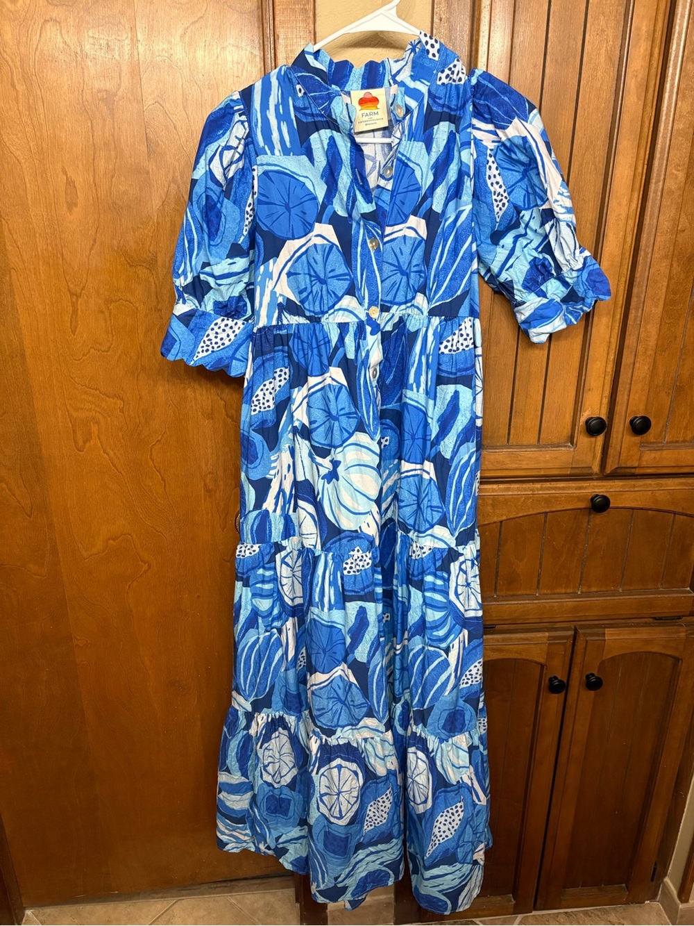 FARM Rio Blue & White Floral Button-Front Tiered Maxi Dress